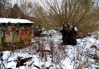 Šimůnek Tomáš, 2015