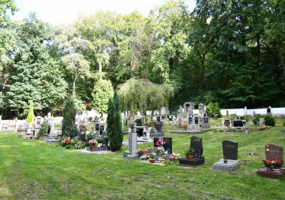 Petrohrad, Omnium, 2020