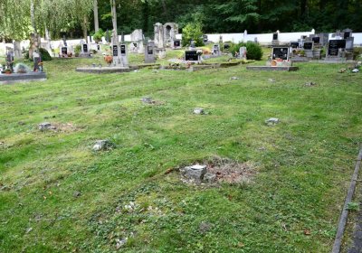 Petrohrad, Omnium, 2020