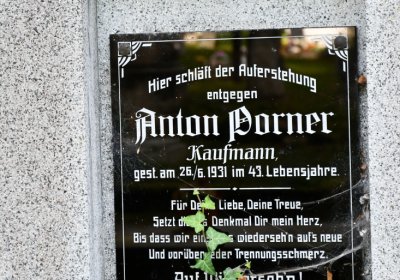 Petrohrad, Omnium, 2020