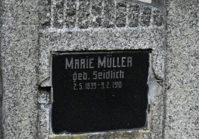 Petrohrad, Omnium, 2020