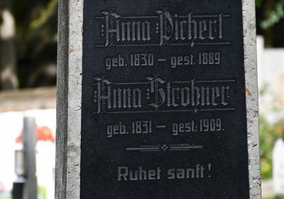 Petrohrad, Omnium, 2020