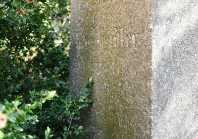 Bílenec, Omnium, 2020