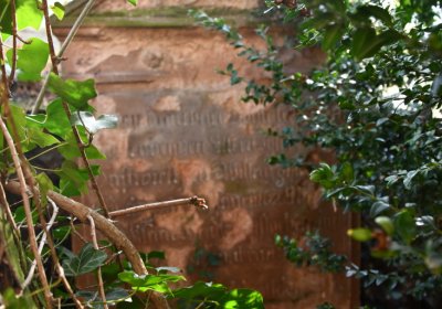 Bílenec, Omnium, 2020