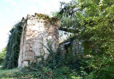 Bílenec, Omnium, 2020