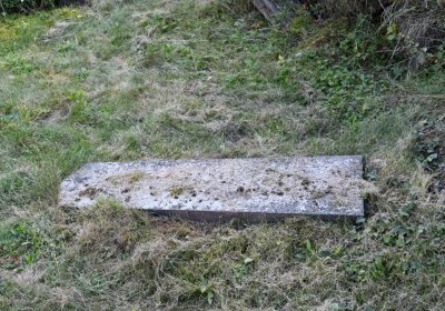 Bílenec, Omnium, 2020