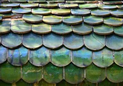 Bílenec, Omnium, 2020