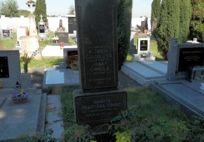Lašťovka Milan, 2016