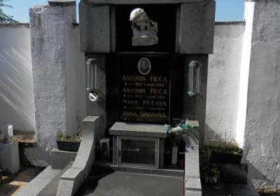 Lašťovka Milan, 2016