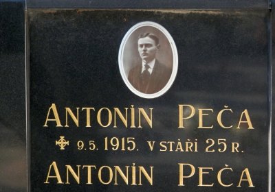 Lašťovka Milan, 2016