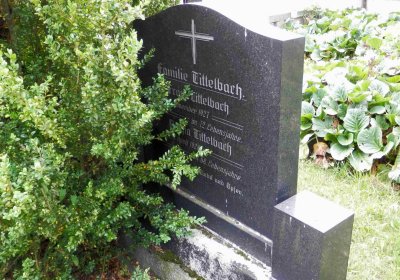 Lašťovka Milan, 2016