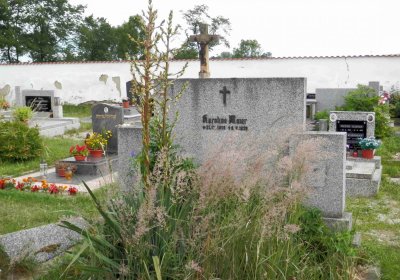 Lašťovka Milan, 2016