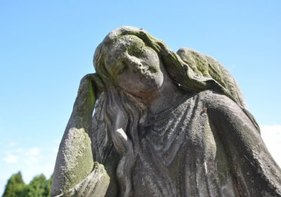 Bechlín, Omnium, 2020
