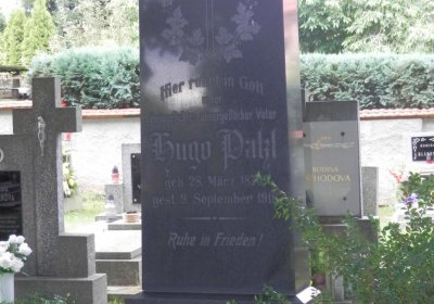 Lašťovka Milan, 2016