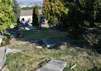 Bečov u Mostu, Omnium, 2020