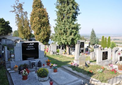 Bečov u Mostu, Omnium, 2020
