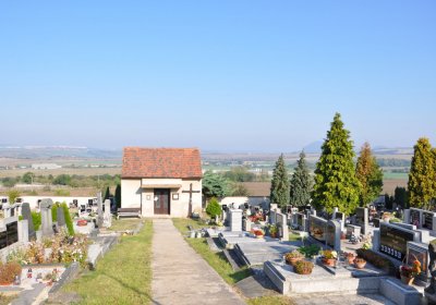 Bečov u Mostu, Omnium, 2020