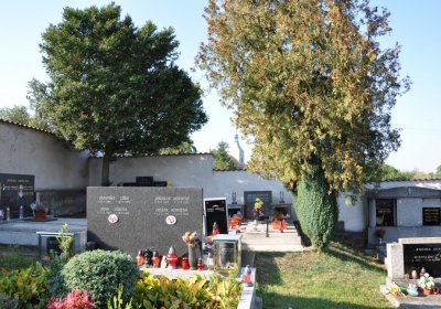 Bečov u Mostu, Omnium, 2020