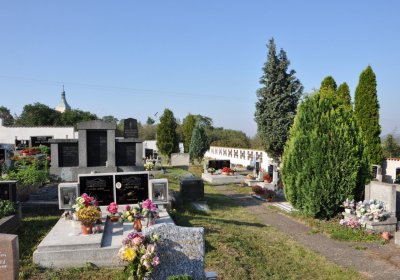 Bečov u Mostu, Omnium, 2020