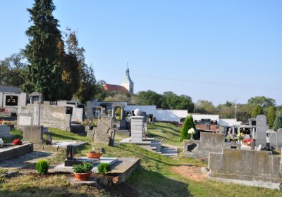 Bečov u Mostu, Omnium, 2020