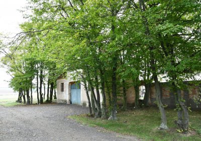 Sýrovice, Omnium, 2020