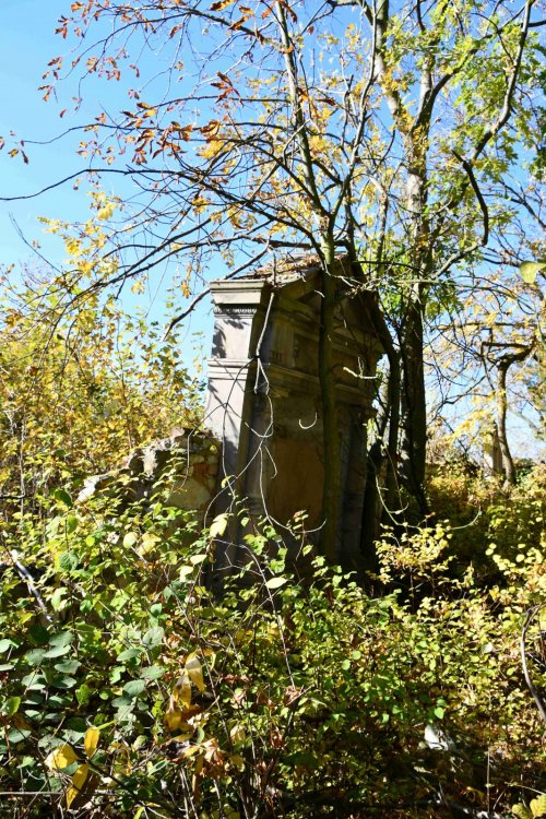 Pšov