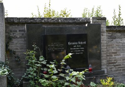 Podbořany k Valovu, Omnium, 2020