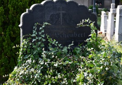 Podbořany k Valovu, Omnium, 2020