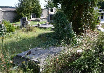 Podbořany k Valovu, Omnium, 2020