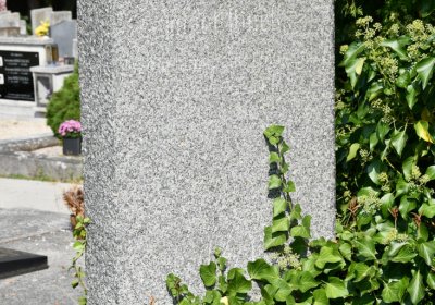 Podbořany k Valovu, Omnium, 2020