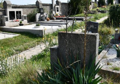 Podbořany k Valovu, Omnium, 2020