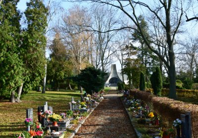 Podbořany městský, Omnium, 2020