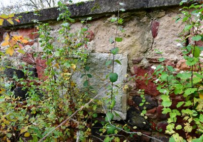 Podbořany městský, Omnium, 2020