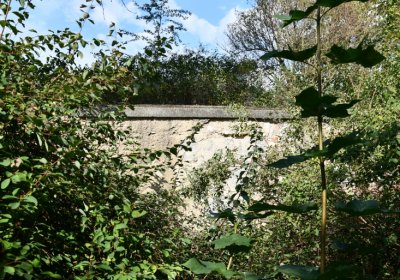 Podbořany městský, Omnium, 2020