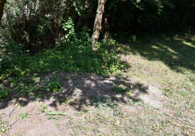 Podbořany městský, Omnium, 2020