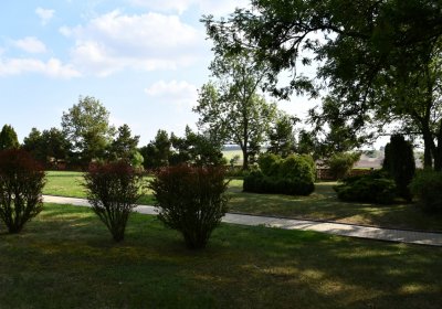 Podbořany městský, Omnium, 2020