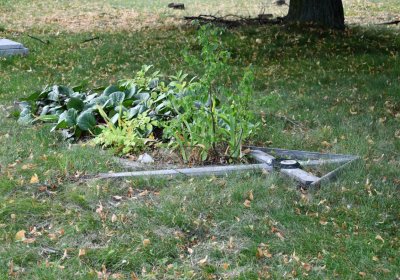 Kněžice obecní, Omnium, 2020