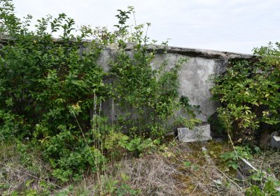 Buškovice, Omnium, 2020