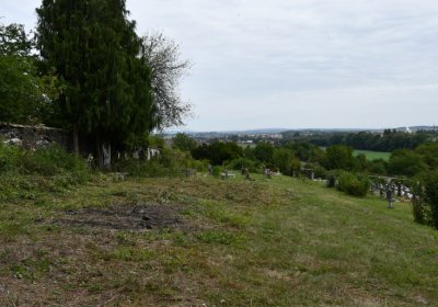 Buškovice, Omnium, 2020
