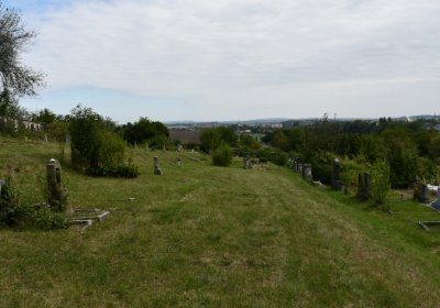 Buškovice, Omnium, 2020