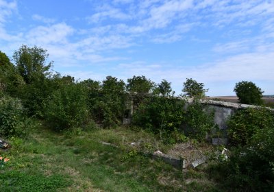 Buškovice, Omnium, 2020