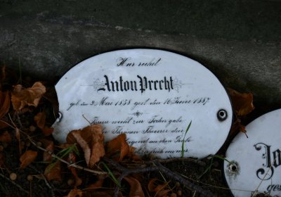 Hlubany, Omnium, 2020