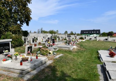 Hlubany, Omnium, 2020