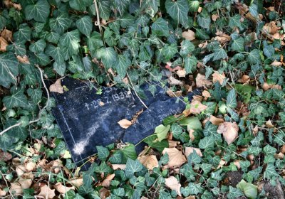 Hlubany, Omnium, 2020