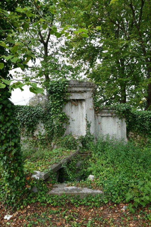 Očihovec
