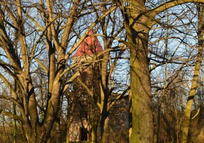 Břehovská Dáša, 2017