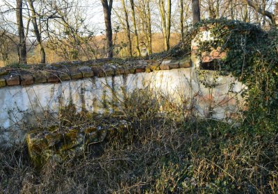 Břehovská Dáša, 2017