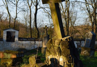 Břehovská Dáša, 2017