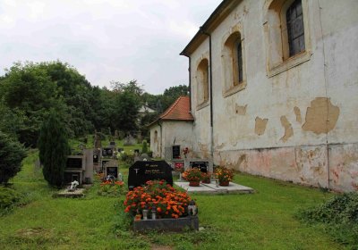 Brezina Peter, 2016