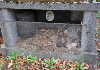 Lom u Mostu, Omnium, 2018